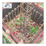 561407F9-24C8-4F9C-9AC7-0DEF571E7D12_0